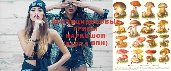 ешки Пестово