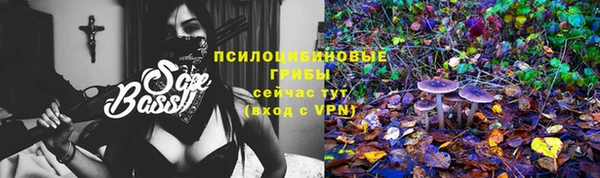 мет Осташков