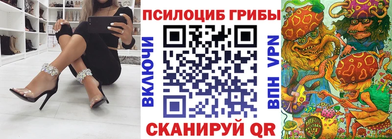 Галлюциногенные грибы Psilocybine cubensis  гидра сайт  Курганинск  где найти наркотики 