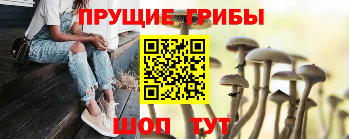 как найти наркотики  Галлюциногенные грибы мицелий  Курганинск  Псилоцибиновые грибы MAGIC MUSHROOMS 