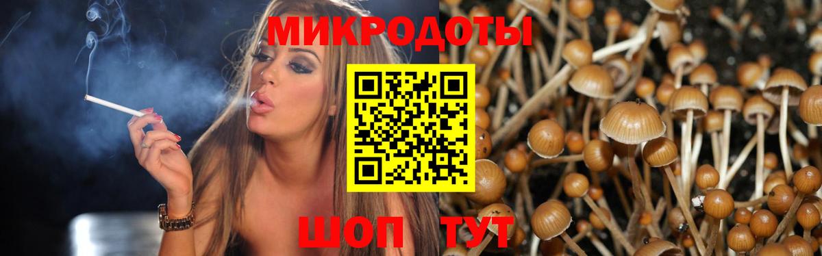 Псилоцибиновые грибы мухоморы Курганинск